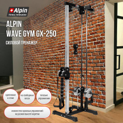 Силовой тренажер Alpin Wave Gym GX-250- фото